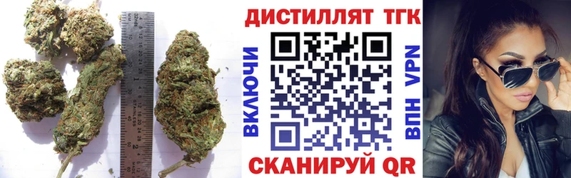 Купить  Пестово  Дистиллят ТГК гашишное масло 