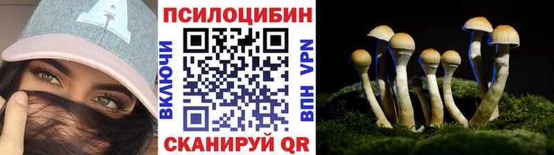 Псилоцибиновые грибы Psilocybine cubensis Пестово